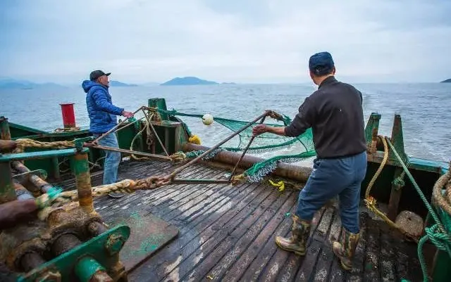 第一次出海捕鱼，海鲜现抓现烧，吃完感觉以前的海鲜都白吃了_手机搜狐网