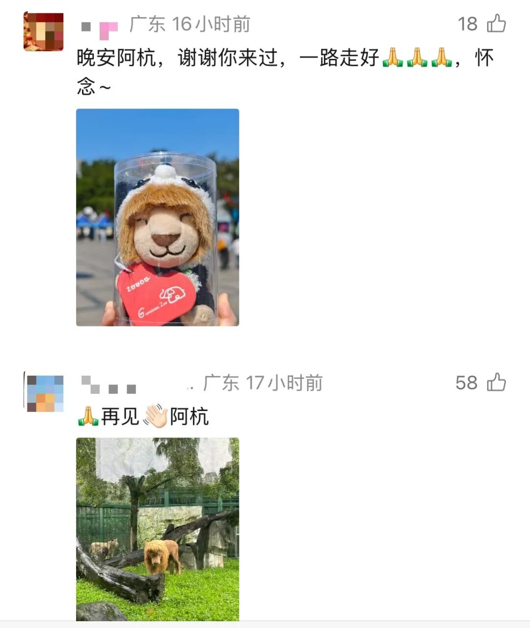 fc5ef577adc3136d75bc58566c15e402.jpg