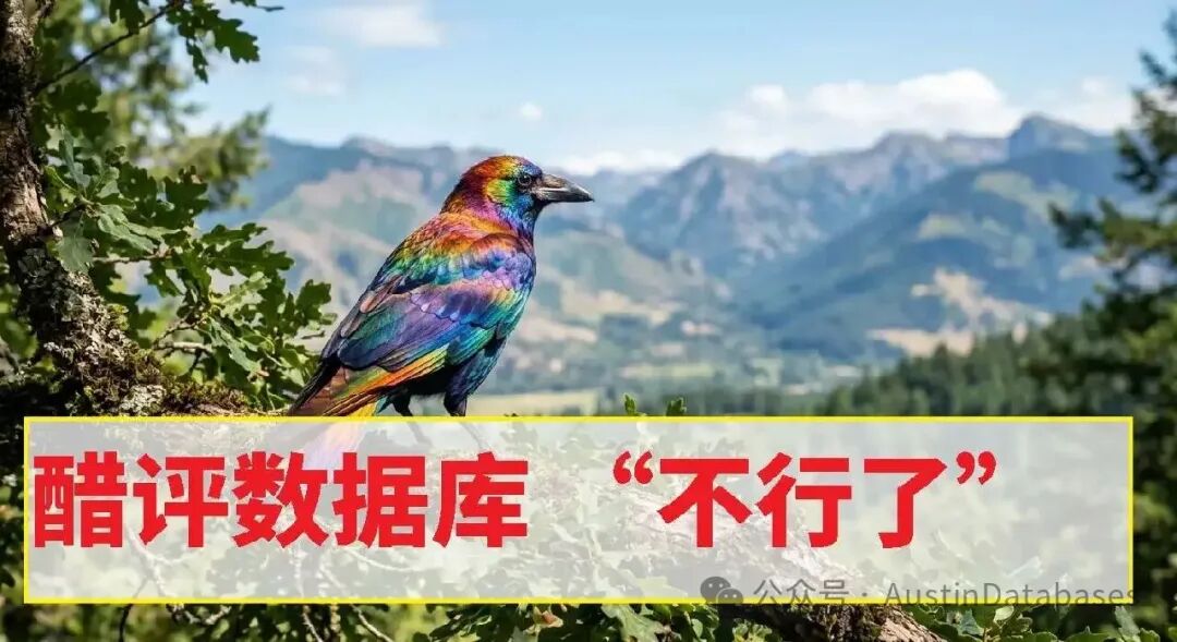 醋评数据库不行了