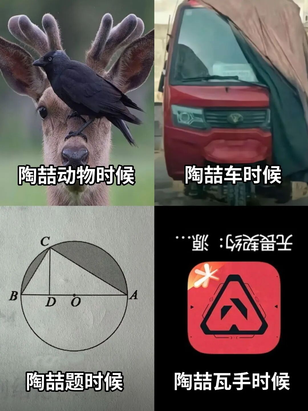 descript
