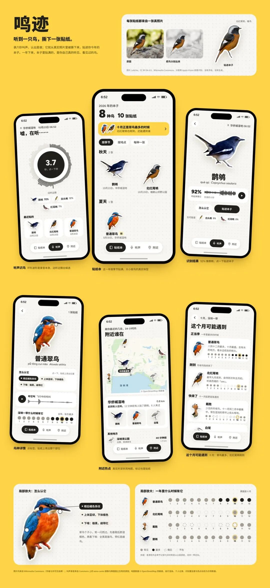 鸣迹：听到一只鸟，撕下一张贴纸