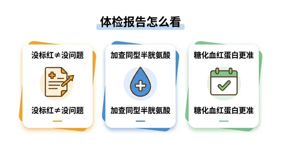 体检报告关键指标示意图