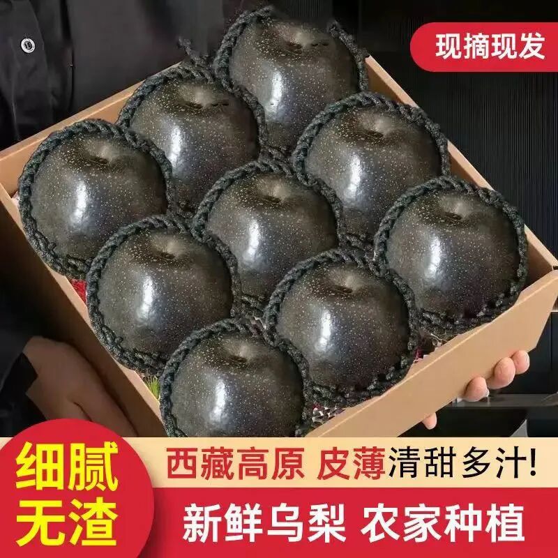 西藏高原雪域藏乌梨黑梨一号黑珍珠