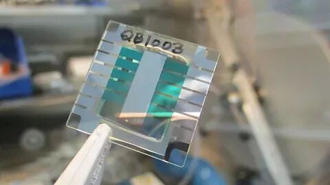Csiro (Credit: Csiro)