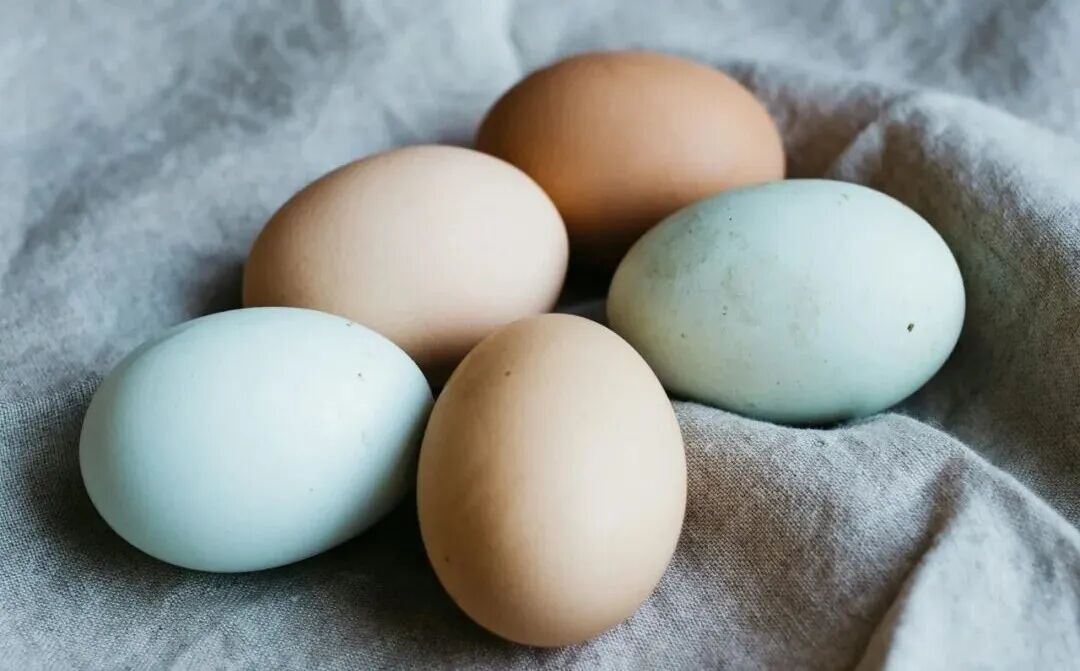 five broil eggs