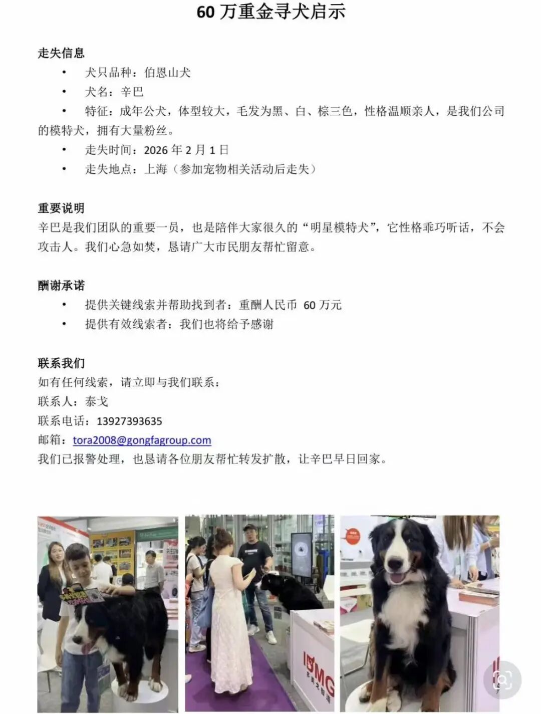 f6d95d3609ce7a6733e7bfa39aa022e7.jpg