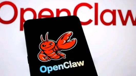 国家互联网应急中心等发布OpenClaw安全使用实践指南_新闻频道_央视网(cctv.com)