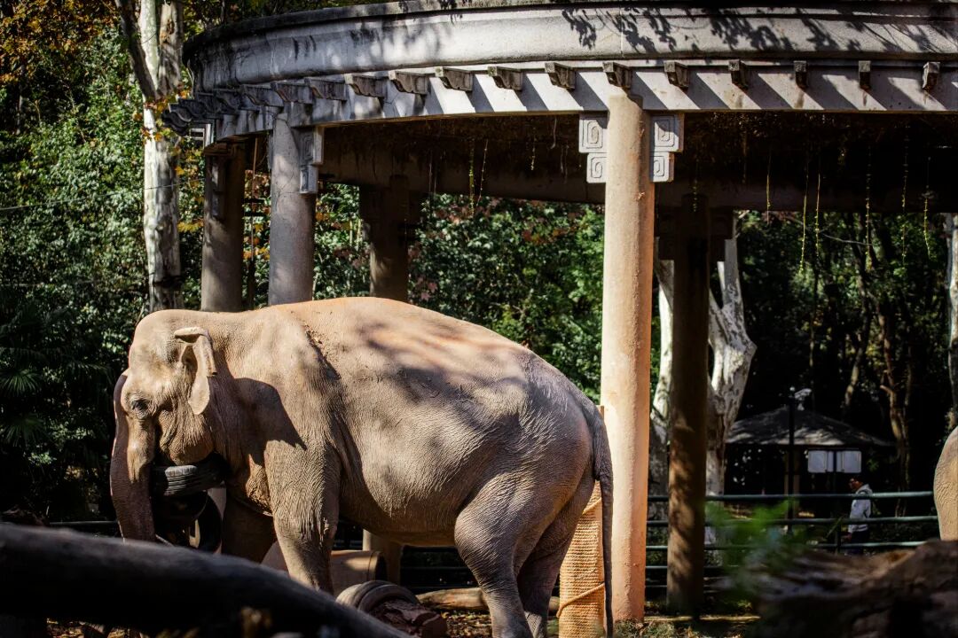 微信图片_20260607103151_10720_8.jpg