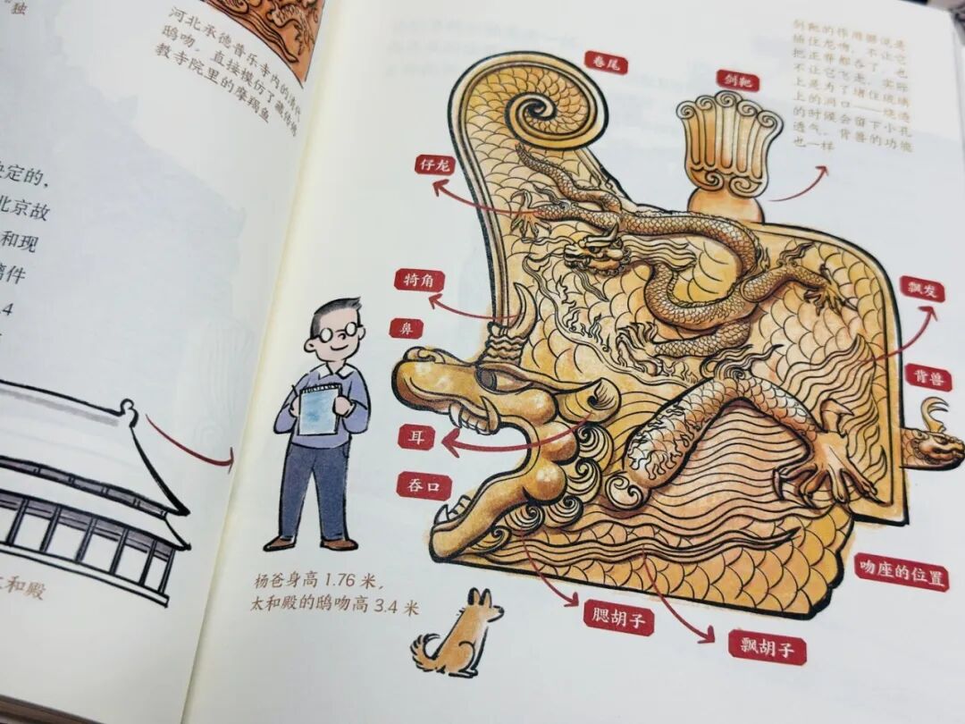 精彩内页1.jpg