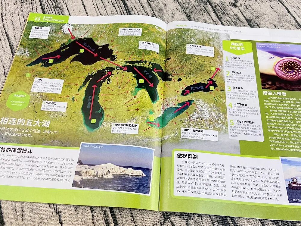 153.jpg