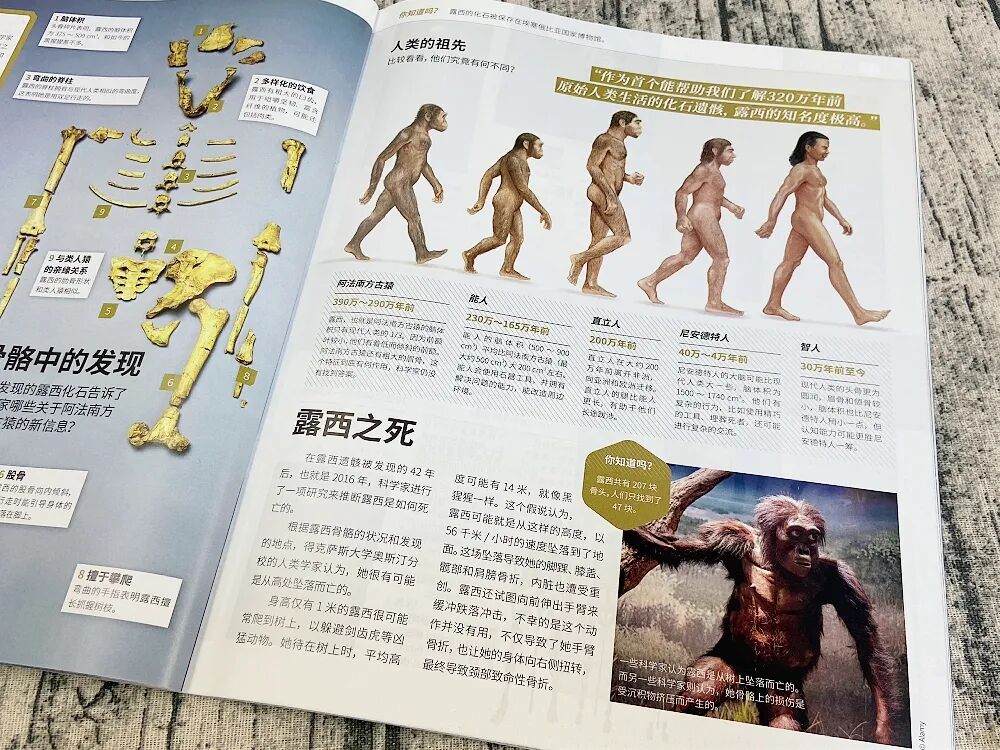 122.jpg