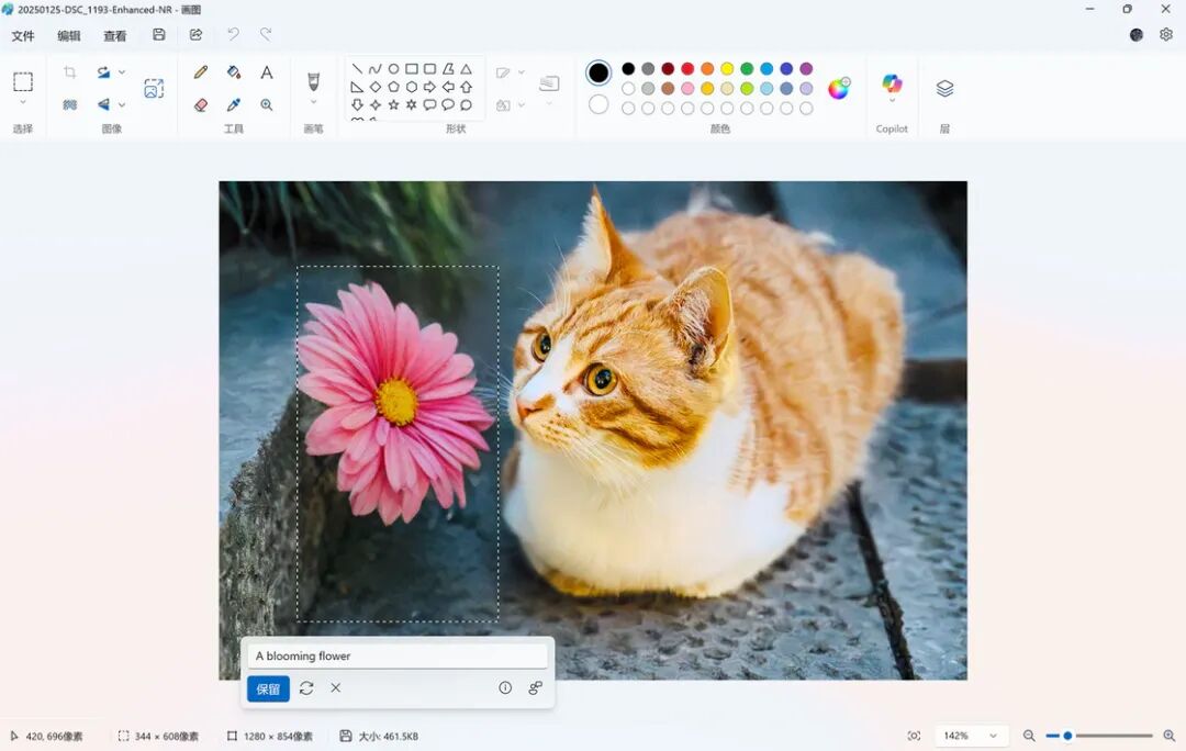 Image