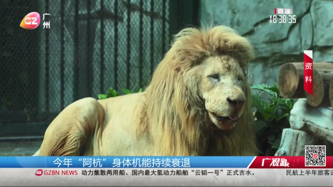 阿杭[00_00_56][20260716-193300].png