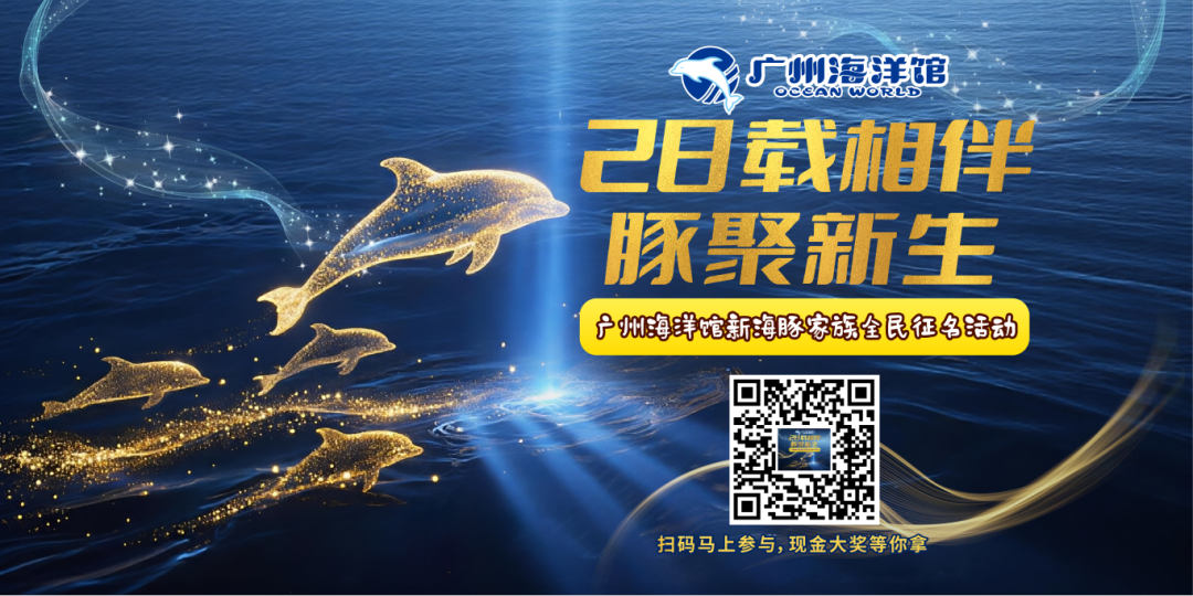 fc04ad91a5cad8b76f468ad0b4051fd0.png