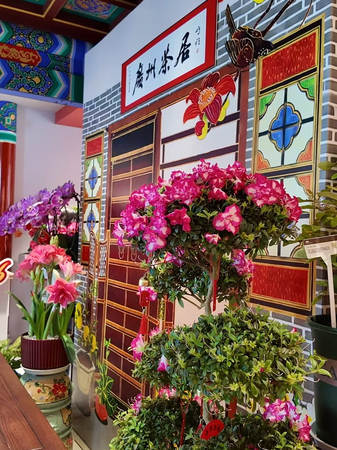 微信图片_20260305171458_13_955.jpg
