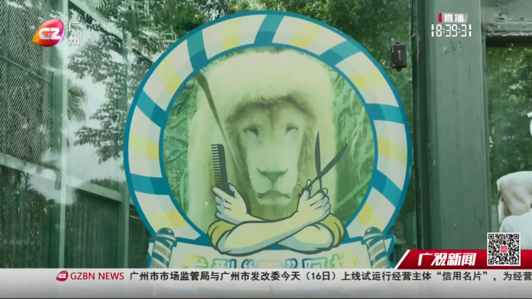 阿杭[00_01_52][20260716-193458].png