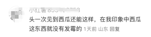 1744772259049.png