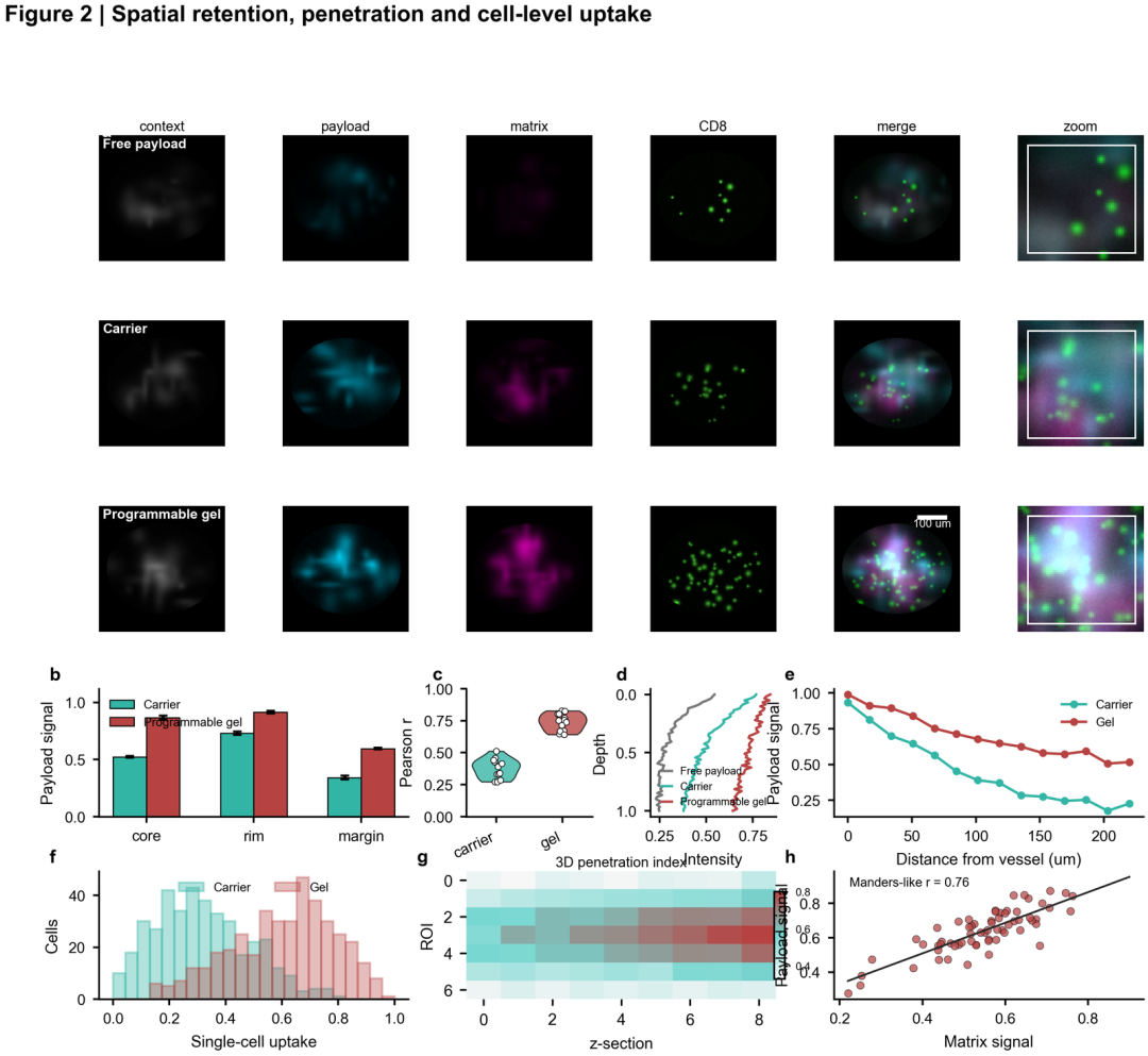 Spatial retention and uptake