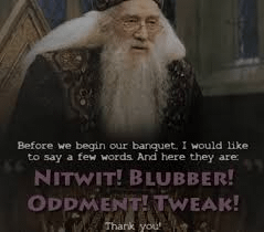 r/harrypotter - Nitwit! Blubber! Oddment! Tweak!