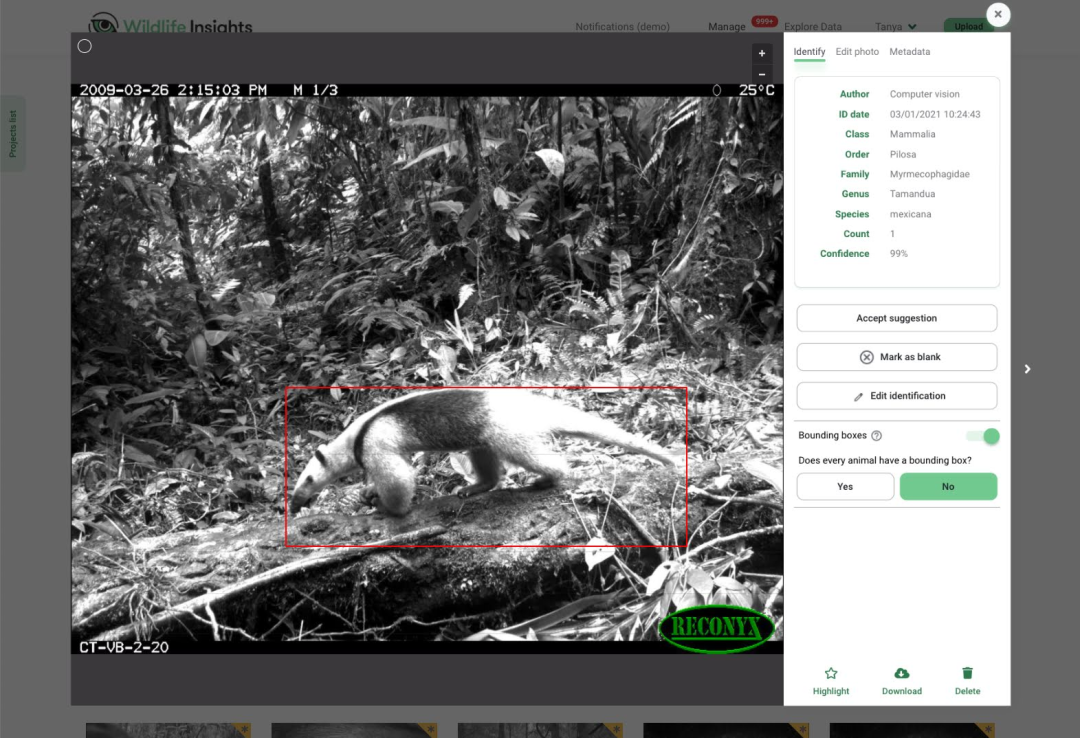 Image