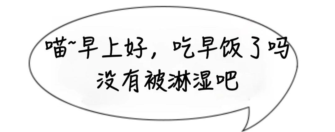 1d6e7ea8eb4bfaba273f15f77de1b906 (1).png