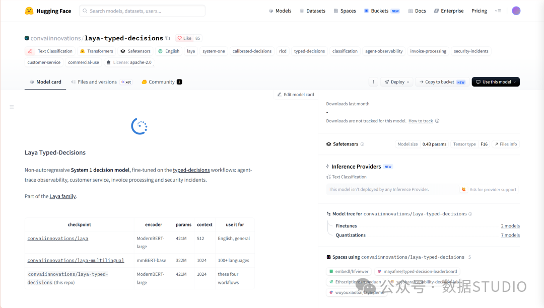 convaiinnovations/laya-typed-decisions 的 Hugging Face 模型卡片
