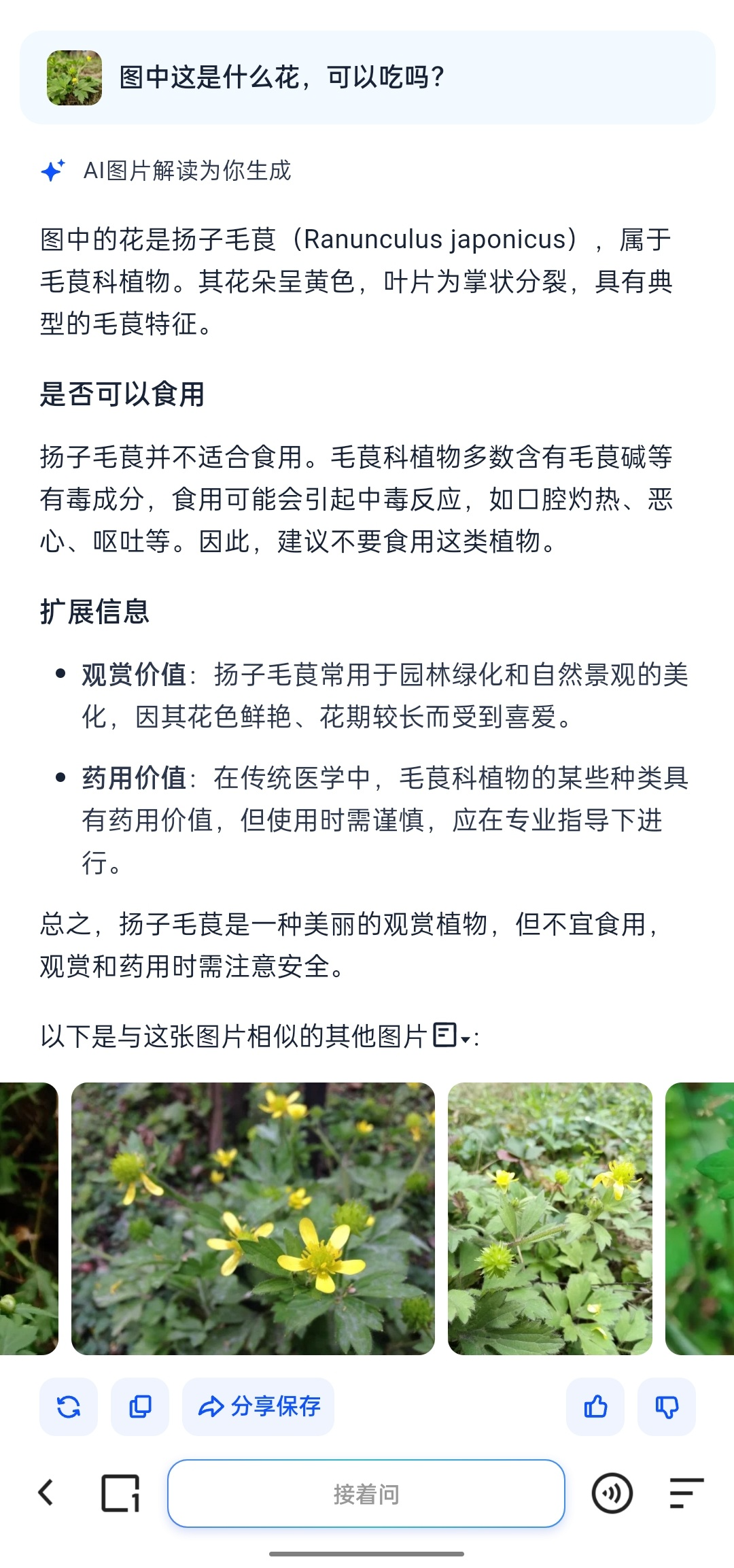长图滚动查看