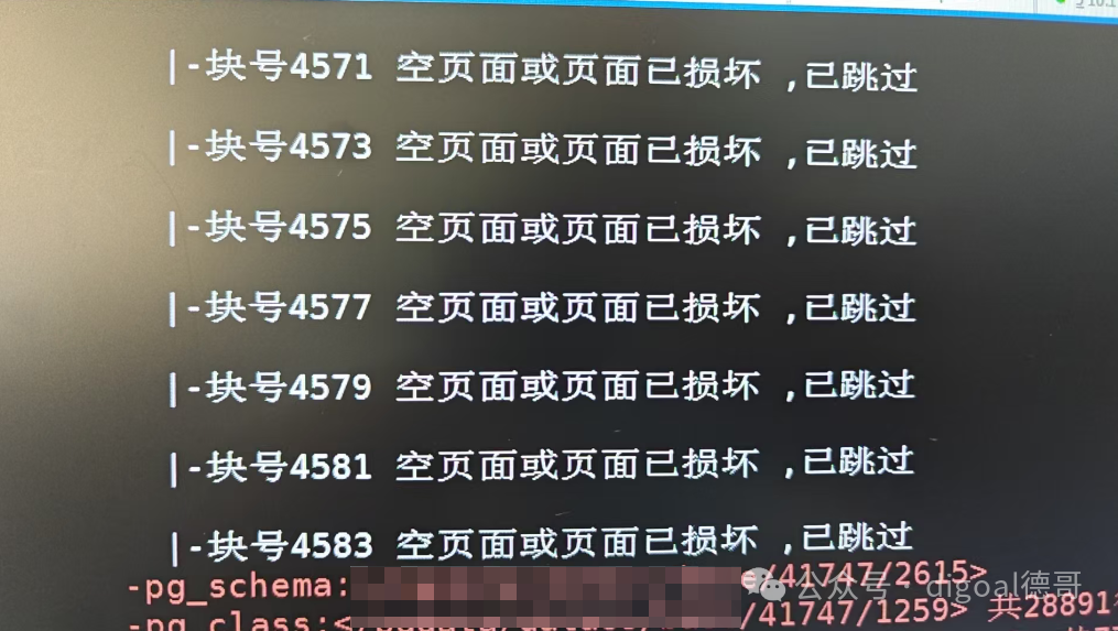 数据初始化