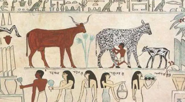 一文带你了解奶粉发展史~世界上第一个奶粉品牌你知道吗？ - 知乎