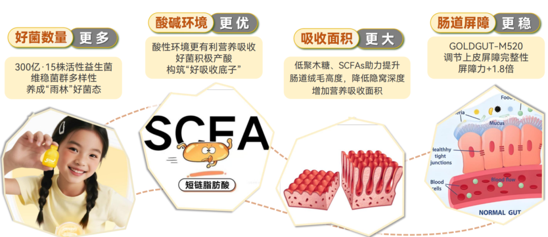 ac184d2b-bbd9-4f91-9cc7-48f5af2e24b2.png