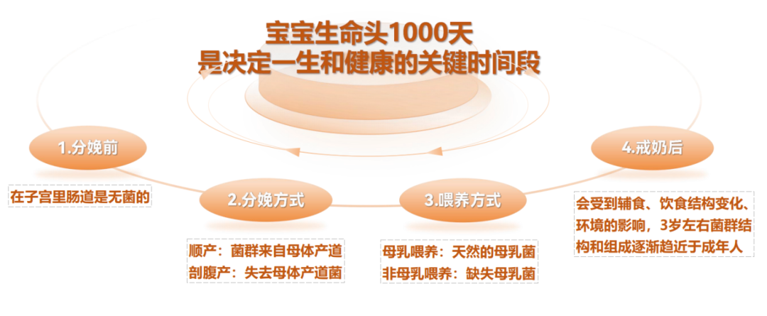b42acc16-c805-4346-82c6-c1fd67612f50.png