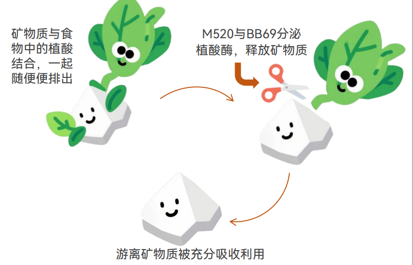 0839c857-a4d3-47f0-803d-17c007daa51b.png
