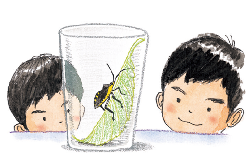 Image