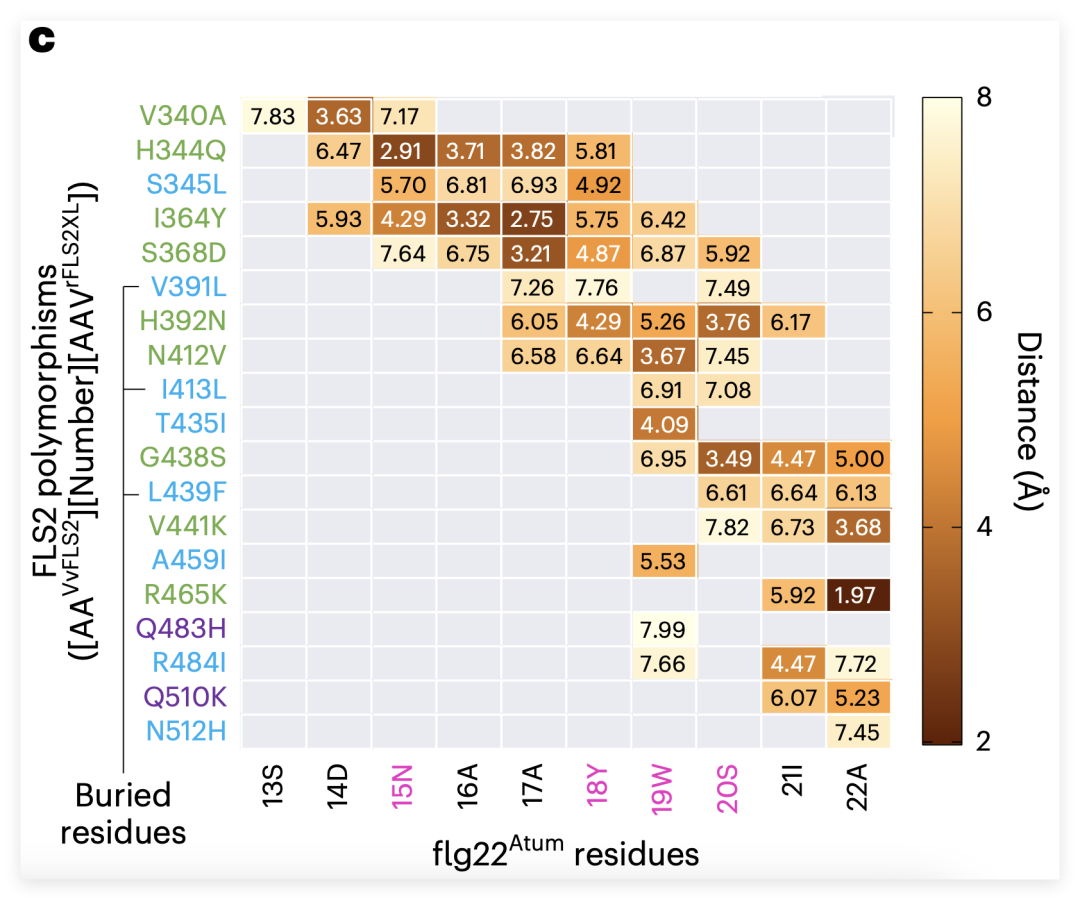 Fig. 2c
