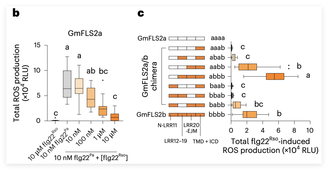 Fig. 3bc
