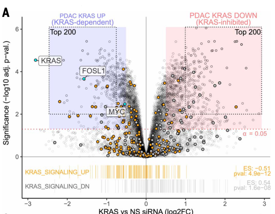 doi/110.1126/science.adk0775，Fig.1 A原图