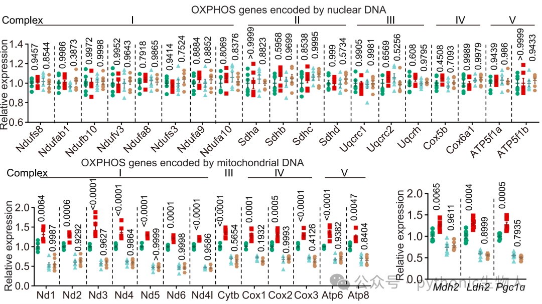 Extended Data Fig. 6