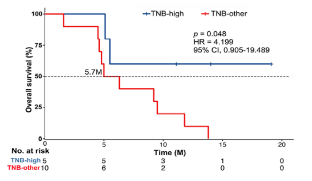 doi: 10.1136/jitc-2019-000367