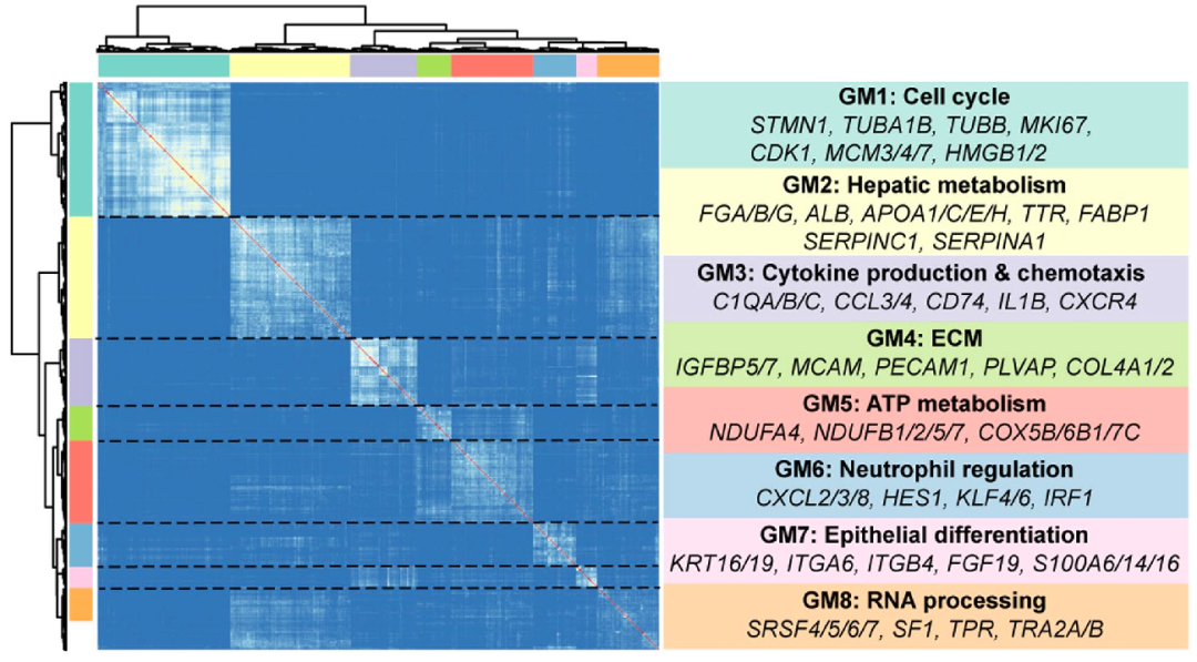 Extended Data Fig. 6