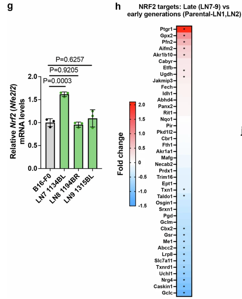 Extended Data Fig. 2