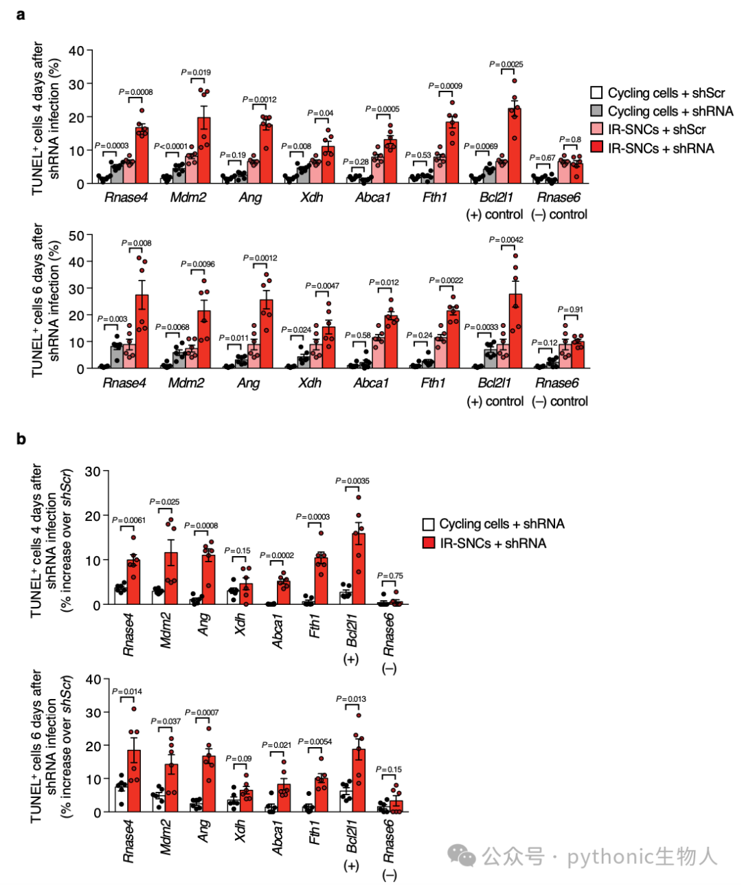 Fig. 3 SASE genes implicated in SNC survival have limited impact on the viability of cycling cells. a Quantification of TUNEL-positive IR-senescent orproliferating cells 4 or 6 days after shRNA-mediated SASE gene knockdown. We note that due to the experimental setup some shScr control values areused for several comparisons when they were assessed in the same experiment. b Increase in TUNEL-positive cells 4 and 6 days after lentiviral infectionrelative to cells containing scrambled shRNA. Data from a were used for this calculation. Data represent means ± SEM. n = 6 independent MEF lines pooledfrom 2 independent experiments in a, b. Statistics: one-way ANOVA with Sidak’s correction in a, paired, two-tailed t-tests in b.