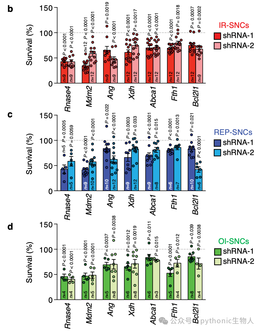 Fig. 2 Six SASE genes are commonly required to sustain SNC survival. b–d Survival of IR- b, REP- c, and OI-SNCs d at day 6 afterSASE gene knockdown with two independent shRNAs per gene. Survivalwas measured by MTS assay. Comparisons were made to SNCs of samecultures infected with scrambled shRNA (shScr; 100% line). Scale bar,200 μm. Data represent means ± SEM. n depict independent MEF lines thatwere pooled from 2 to 4 independent experiments. Statistics: one-wayANOVA with Sidak’s correction in b–d.