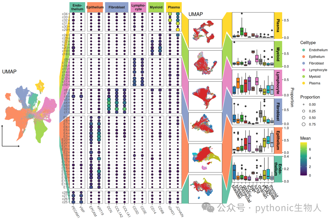 Pan-cancer analysis of cell type distribution and abundance at single-cell resolution