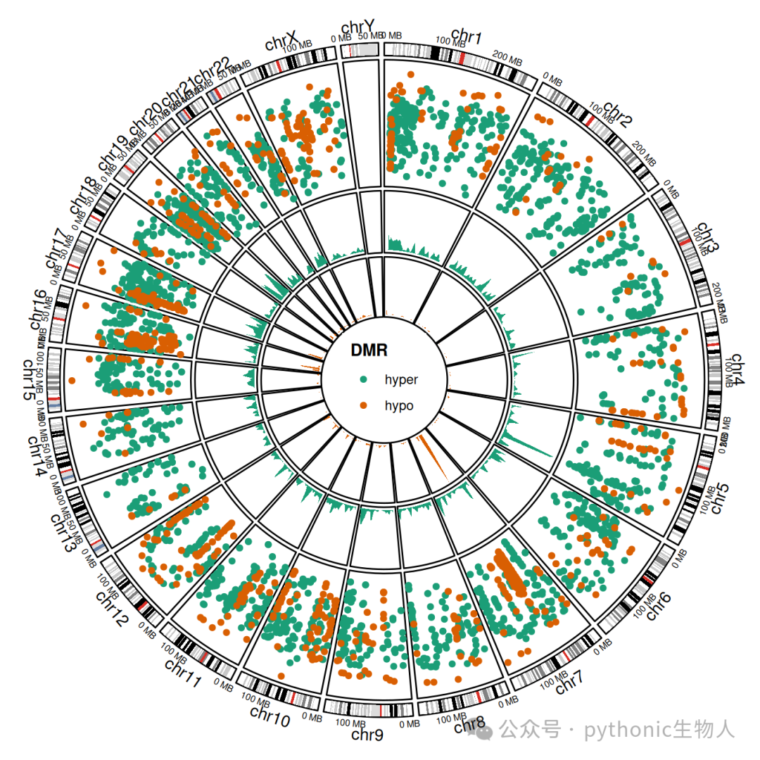 Genomic density and Rainfall plot