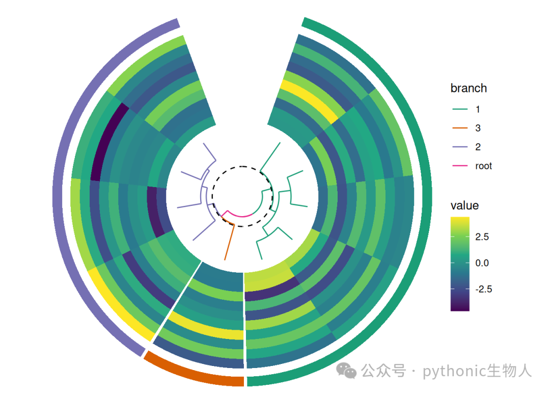 Circlular plot