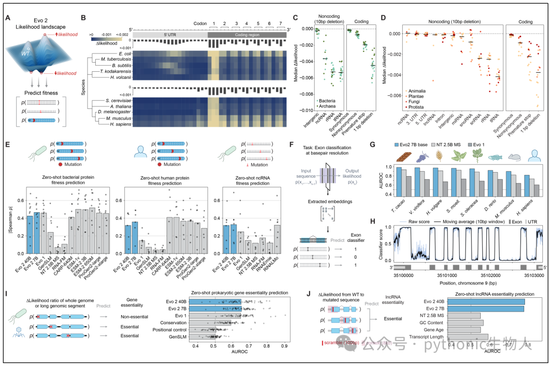 Evo 2 predicts mutational effects on protein, RNA, and organismal fitness across all domains of life.