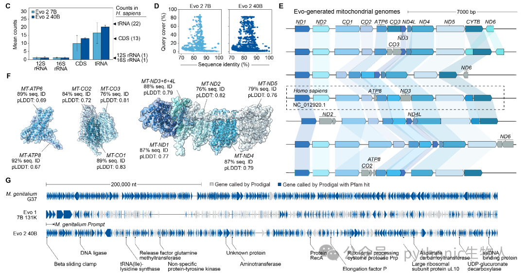 Genome-scale generation across the domains of life.