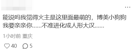 文本 AI 生成的内容可能不正确。