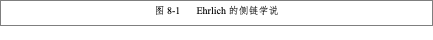 Text Box: 图8-1 Ehrlich的侧链学说