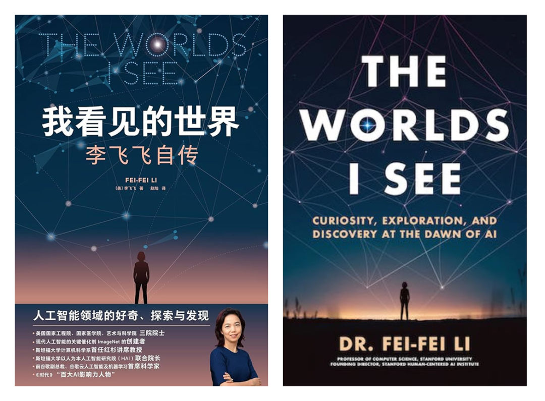 李飞飞的传记，就叫 the worlds I see
